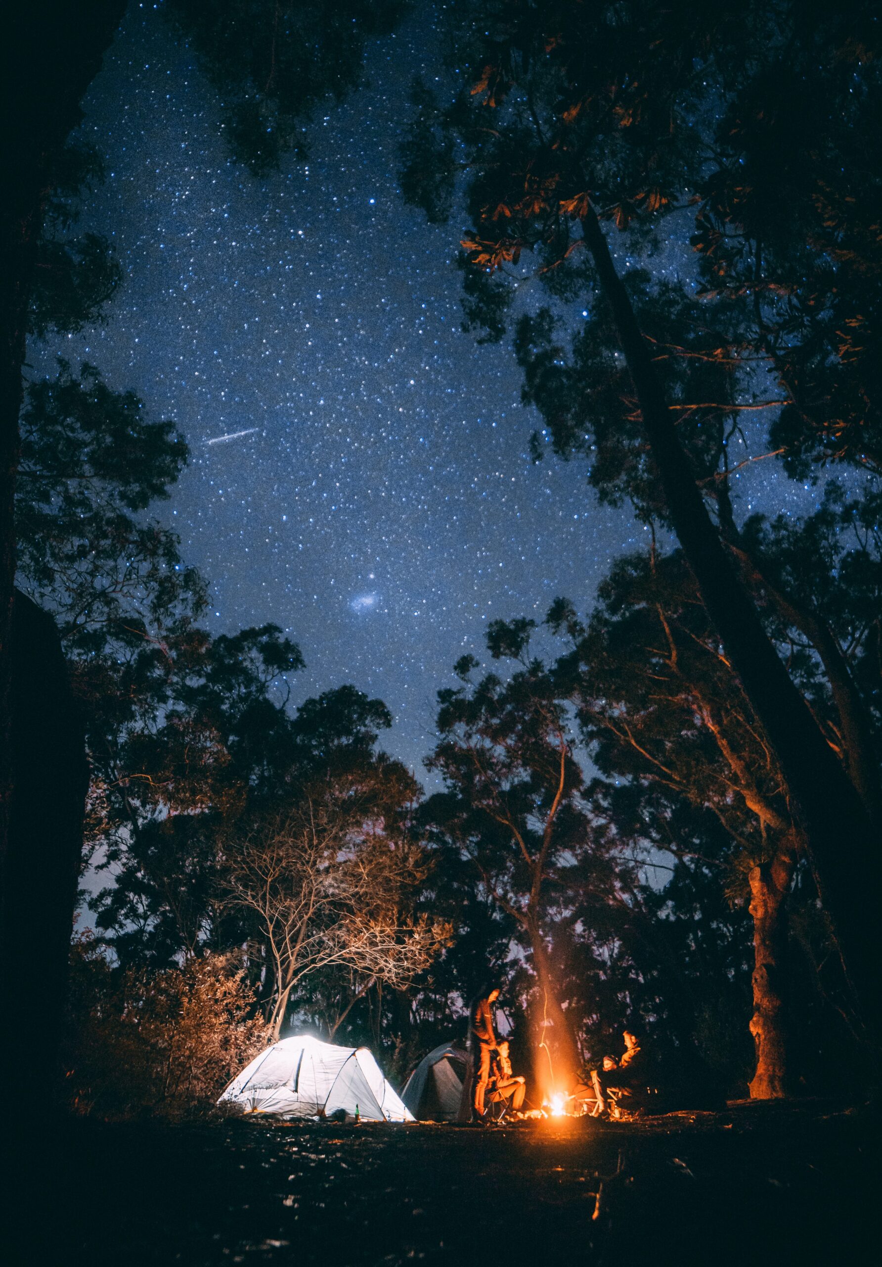 First shot at a fun Adventure Camp!
